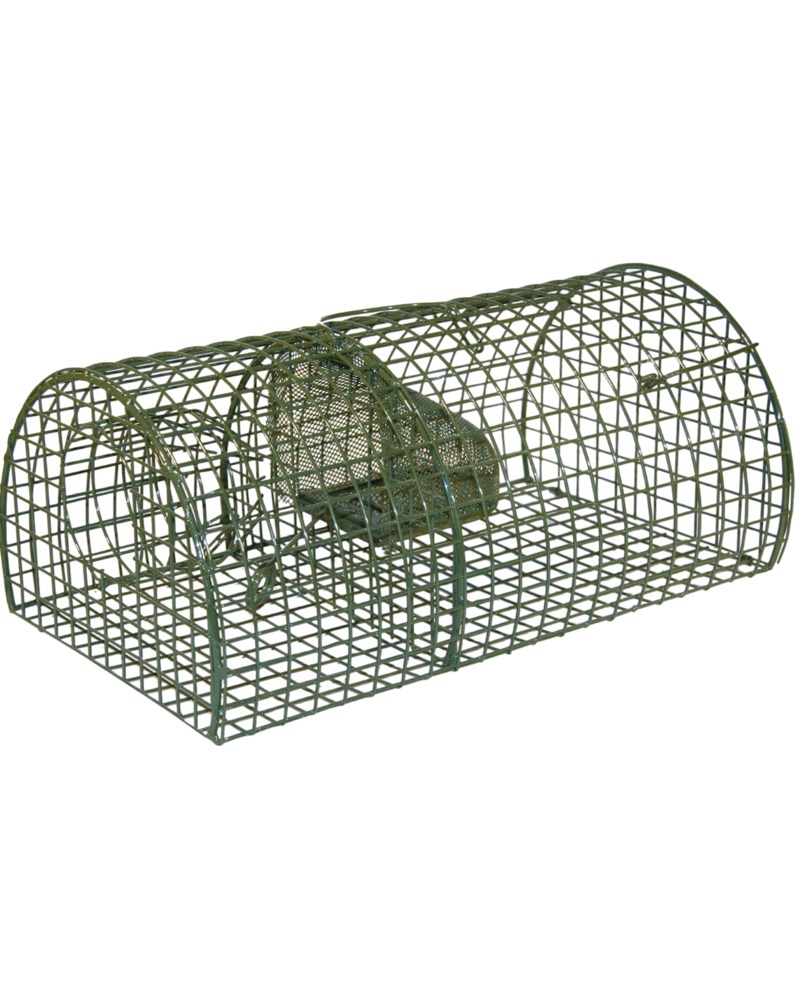 Wire Cage Rat Trap Alive Massa