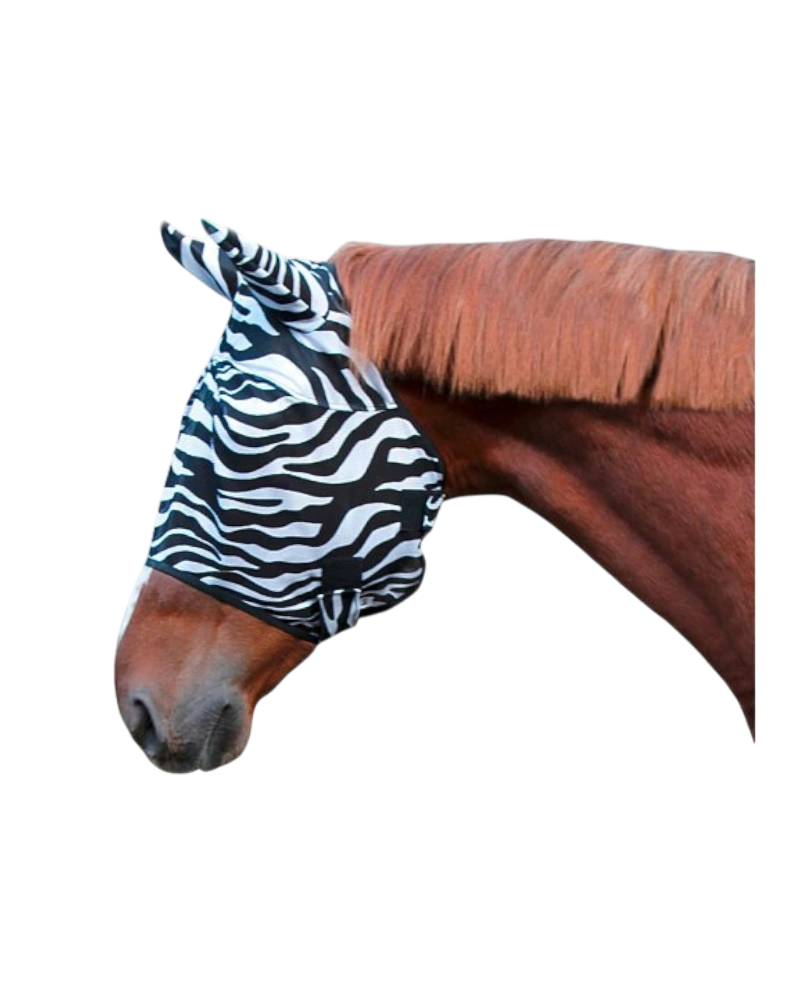 Insect repellent mask, zebra flies, various sizes