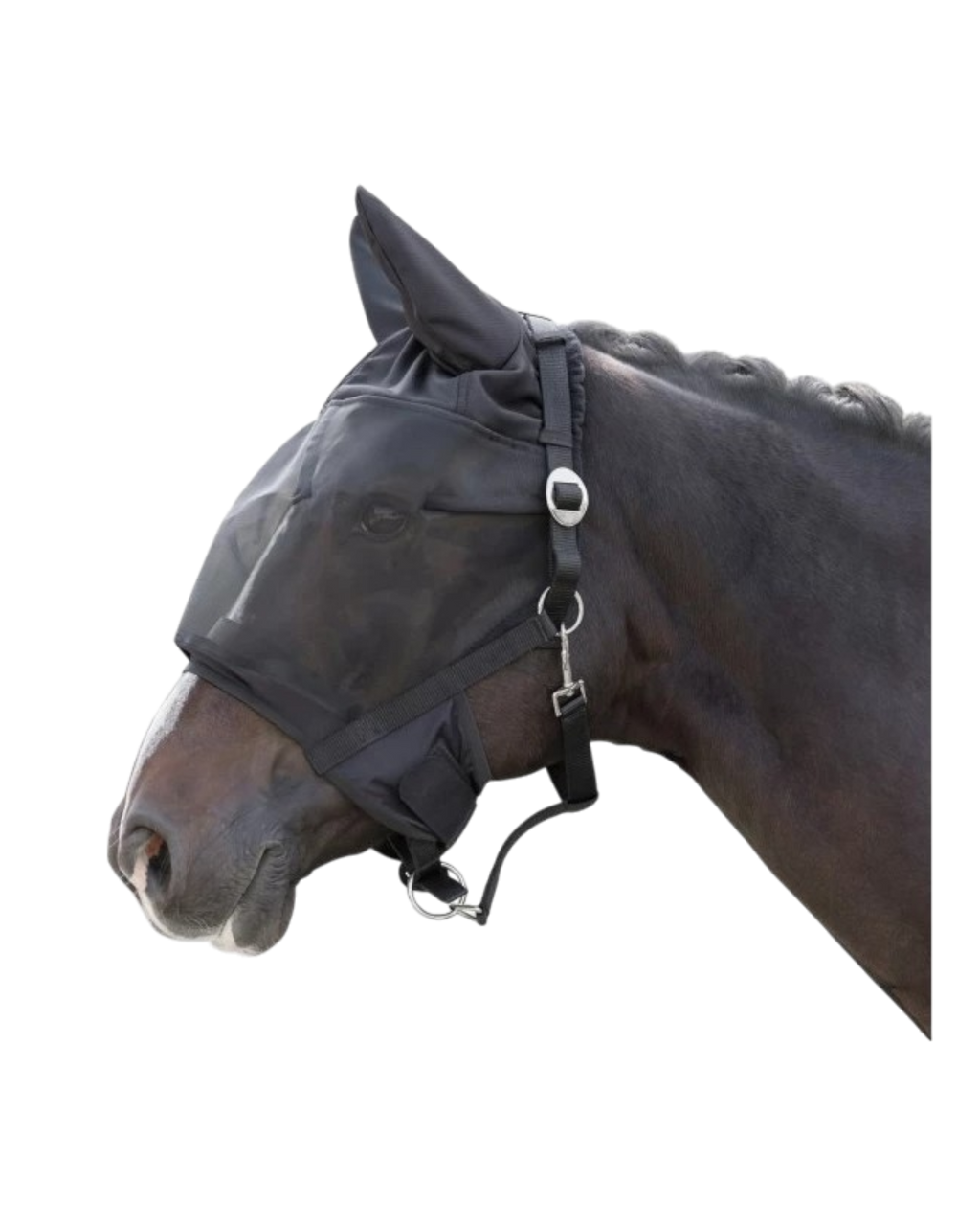 Black halter with insect mask, flies of various sizes