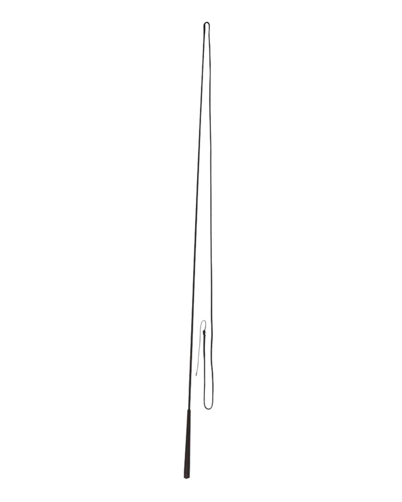Longeerzweep 180 cm