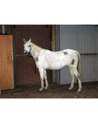 Excellent Horse Hi Gloss Clean Spray 500ml – Spray czyszczący i pielęgnujący dla koni