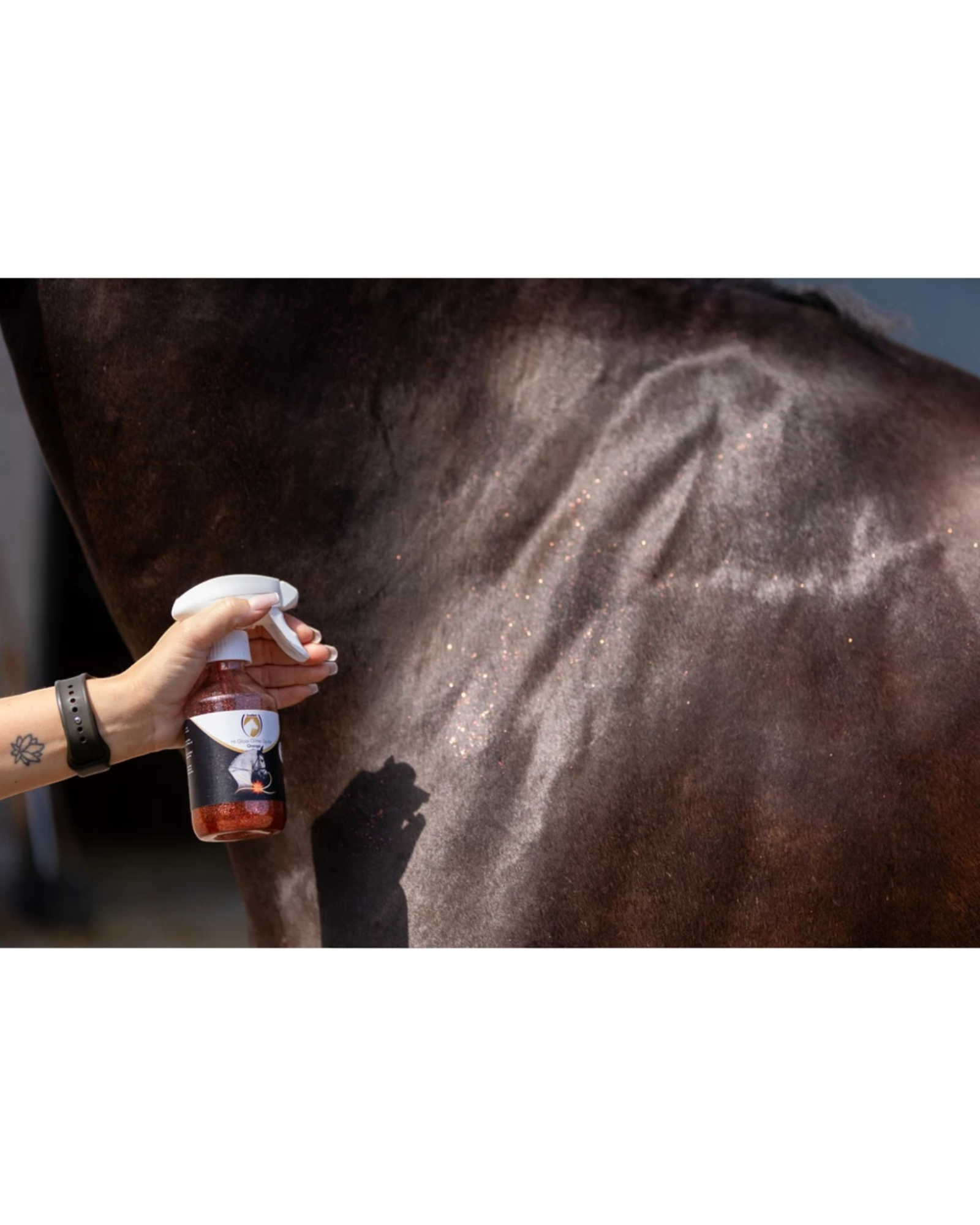 Excellent Horse Hi Gloss Glitter Spray Orange 250ml – Pomarańczowy brokatowy spray dla koni
