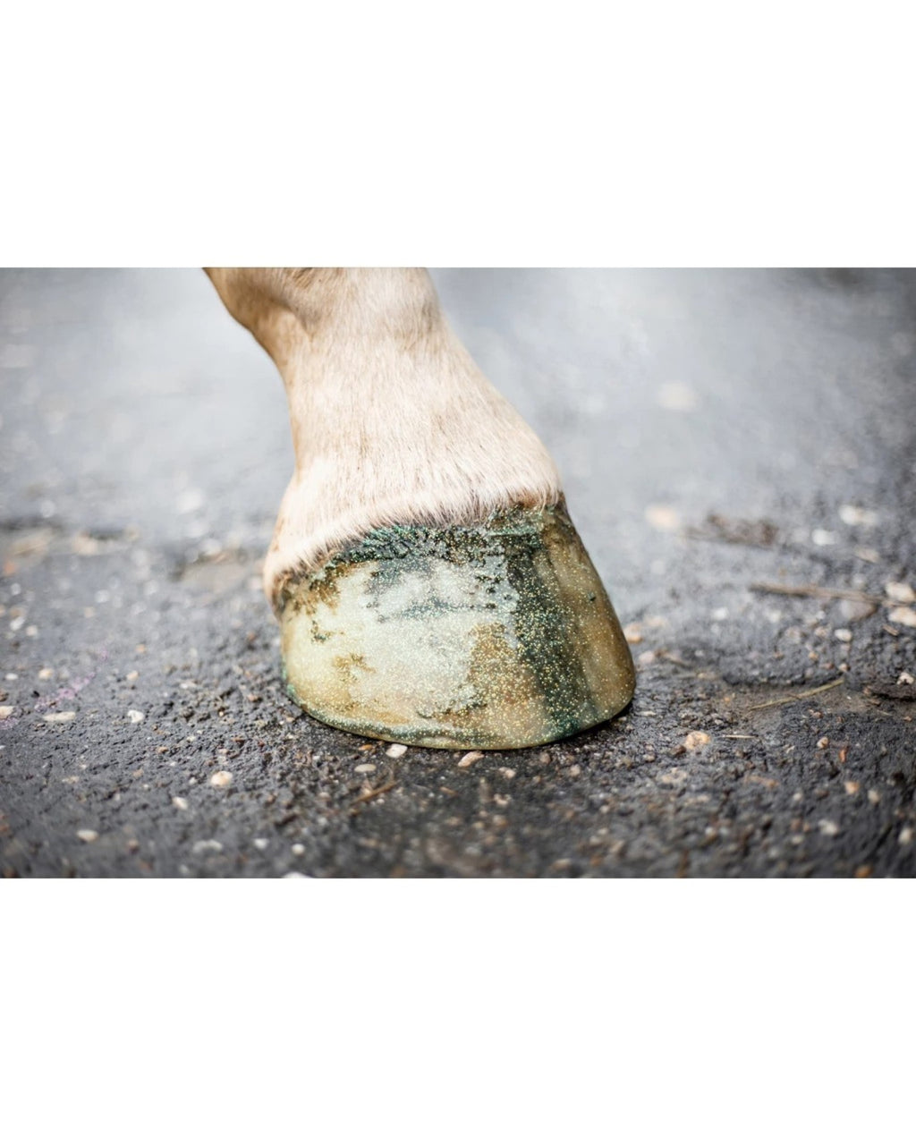 Excellent Horse Hi Gloss Glitter Hoof Polish Green 150ml – Zielony lakier z brokatem do kopyt