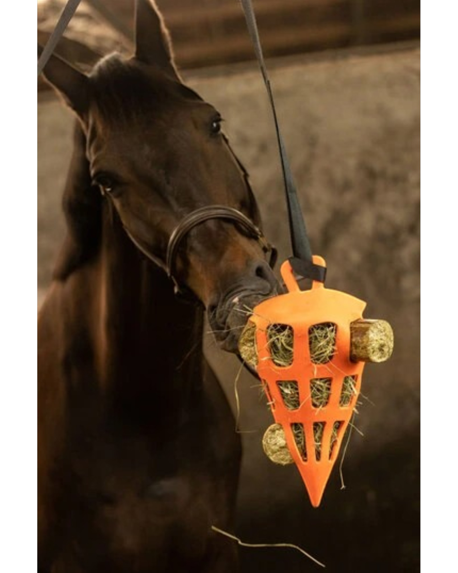 Lax Meadow Nibble Block Hay/Vegetable 3.5 kg – Healthy nibble blocks for horses (4 pcs)