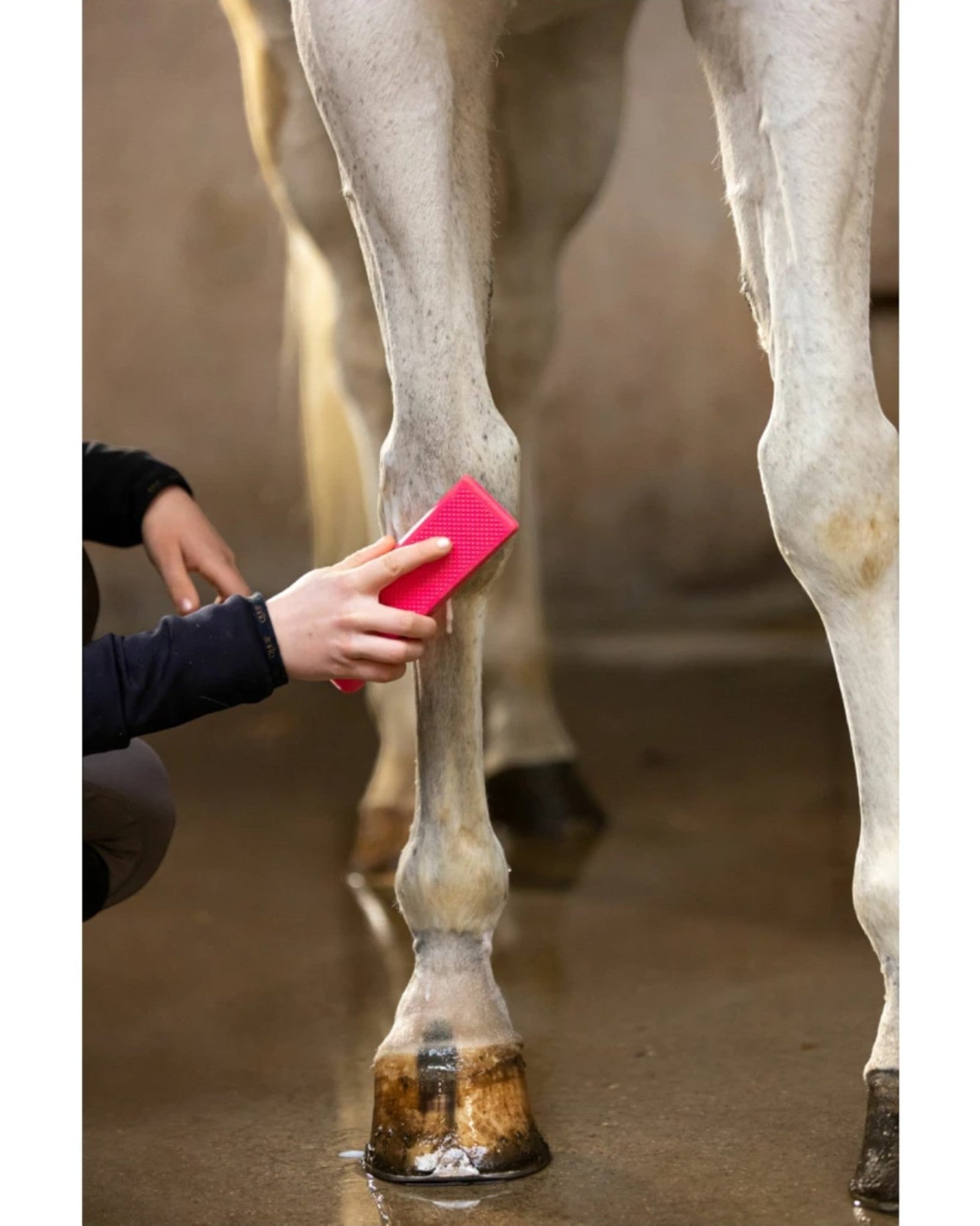 Excellent Horse Grooming Brush L Black – Duża szczotka pielęgnacyjna dla koni