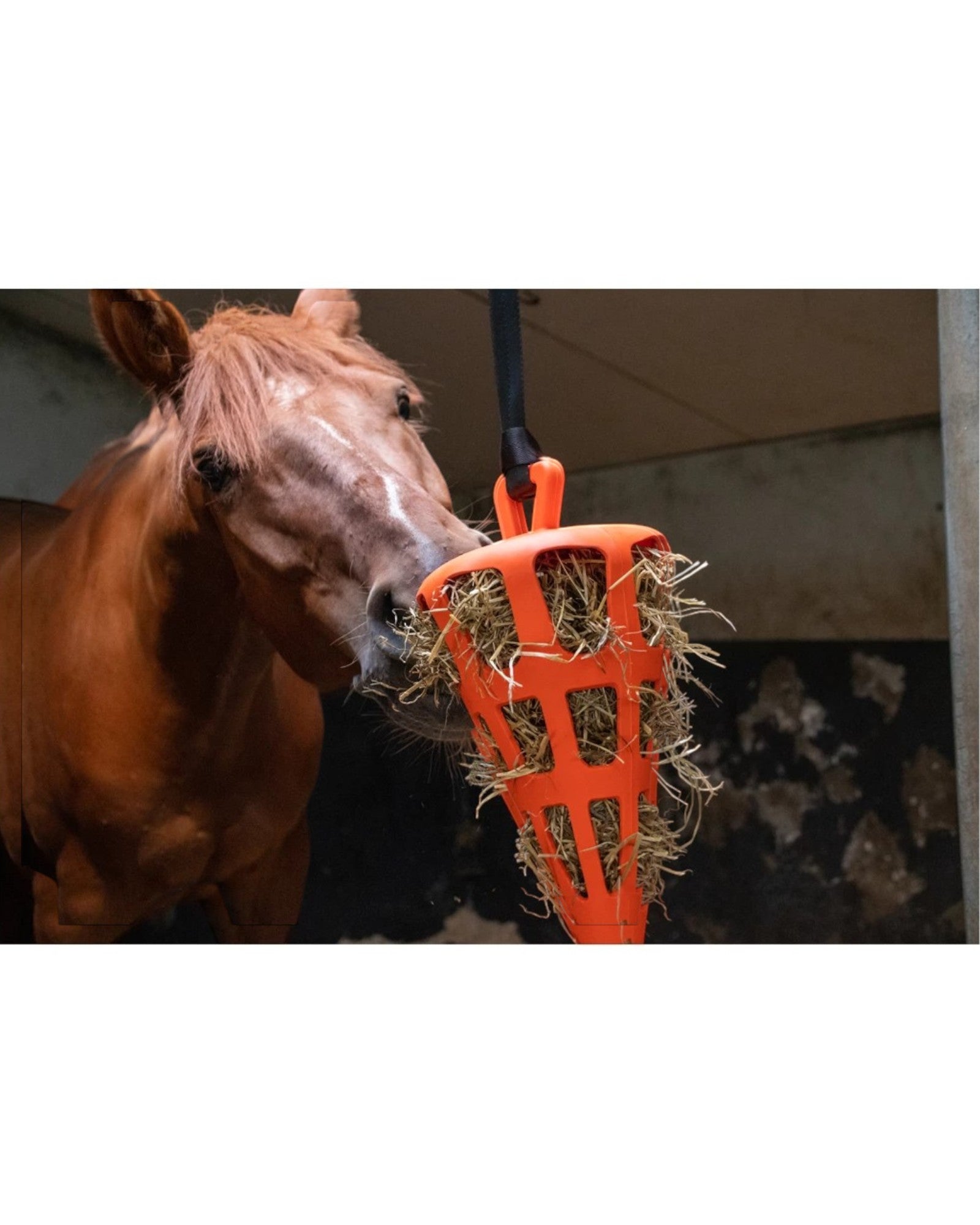 Hay Slow Feeder Fun & Flex Marchewka – Pomarańczowa, Gumowa