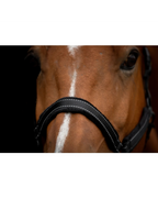 Excellent Horse Superior Zwart Halster – zacht + reflecterend