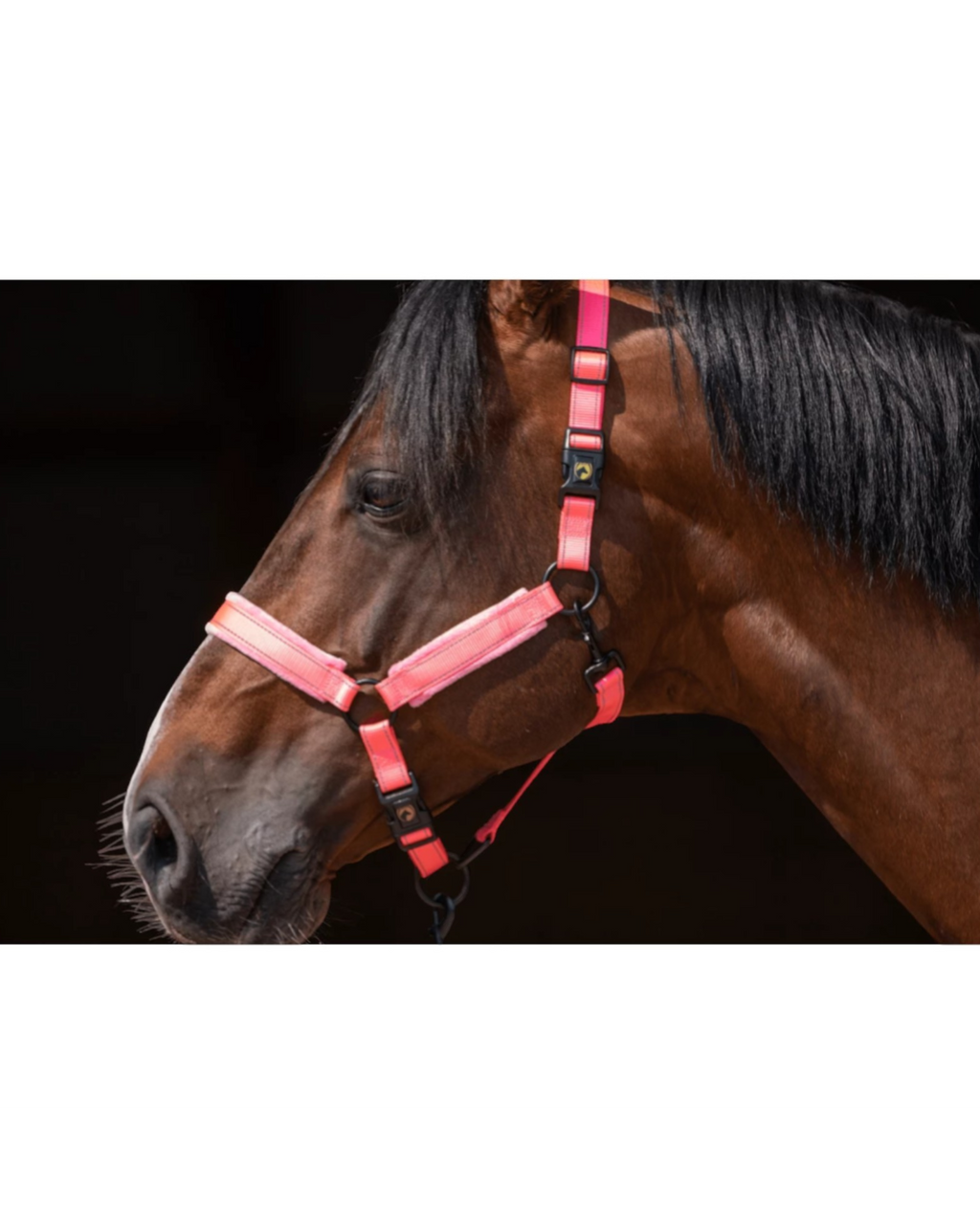 Excellent Horse Superior Roze Halster – zacht + reflecterend