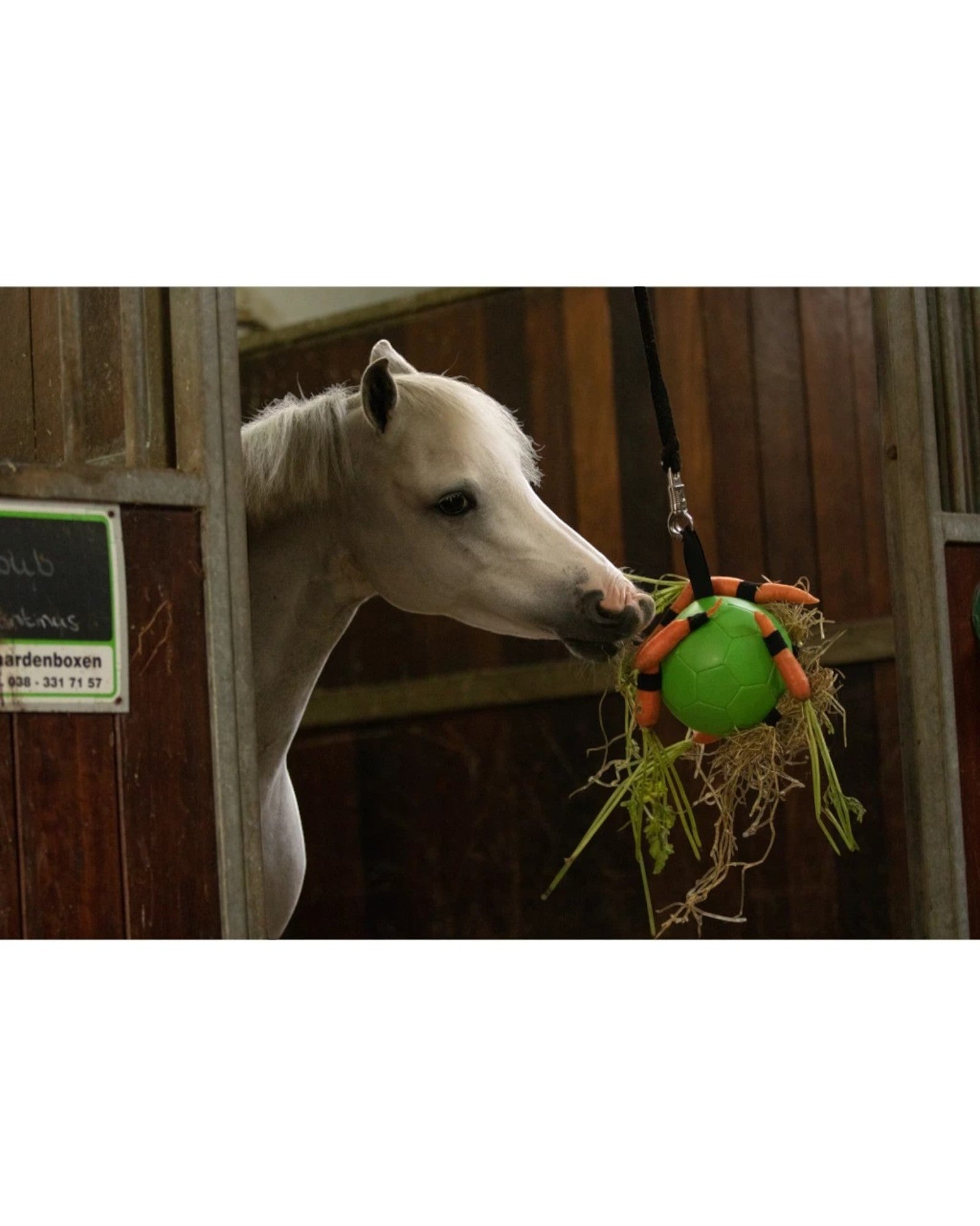 Excellent Horse Fun Play Ball Green – anti-stress ball for horses 19 cm