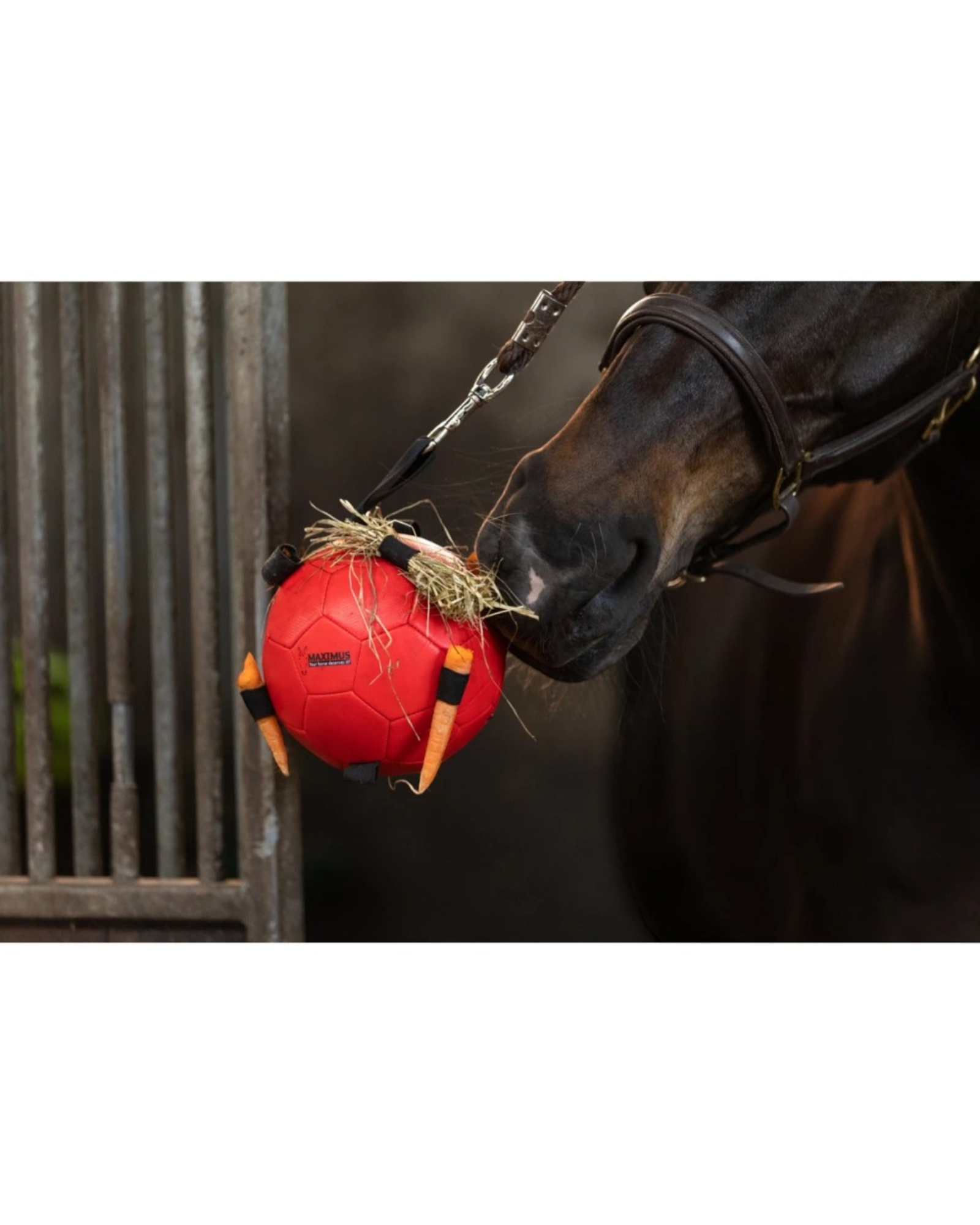 Excellent Horse Fun Play Ball Orange – anti-stress ball for horses 19 cm