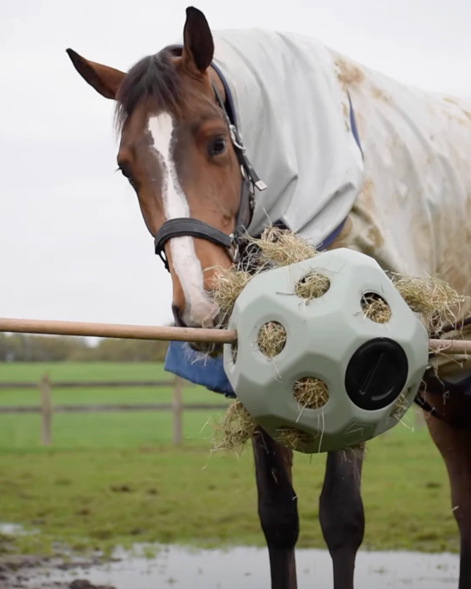 Excellent Horse Feed &amp; Play Ball – Slow Eating Feed Ball, Green