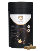 Excellent Horse Sweet Blocks Carrot treats for horses in various flavors