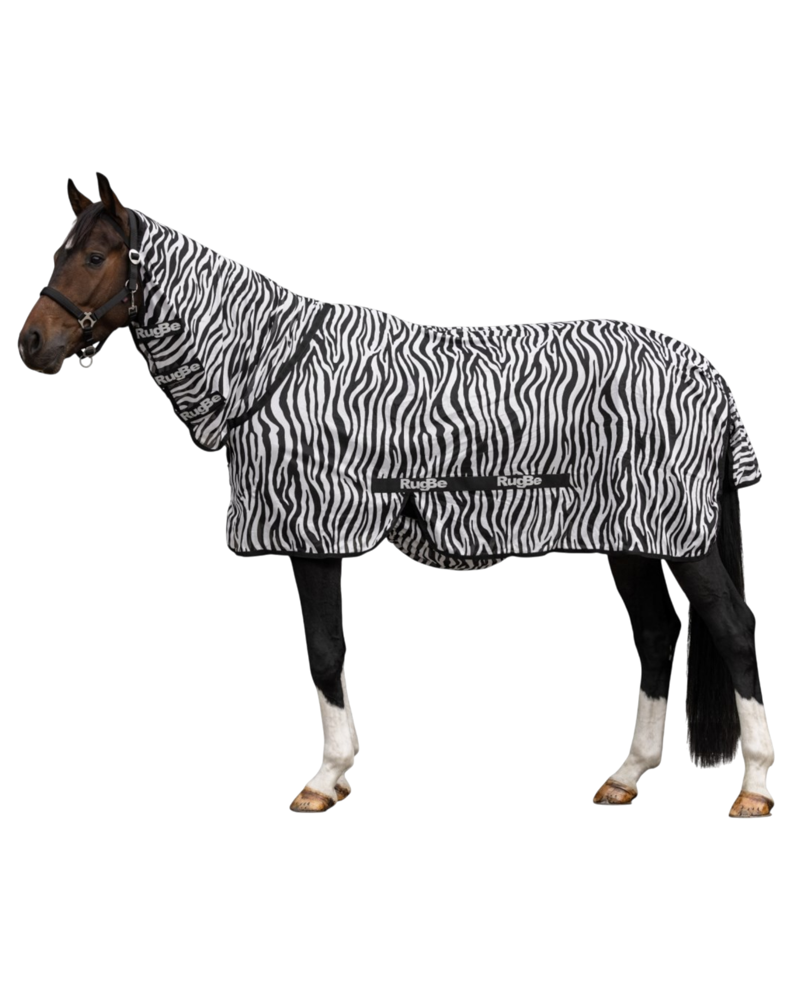 Insect, fly and eczema blanket zebra with neck opening various sizes