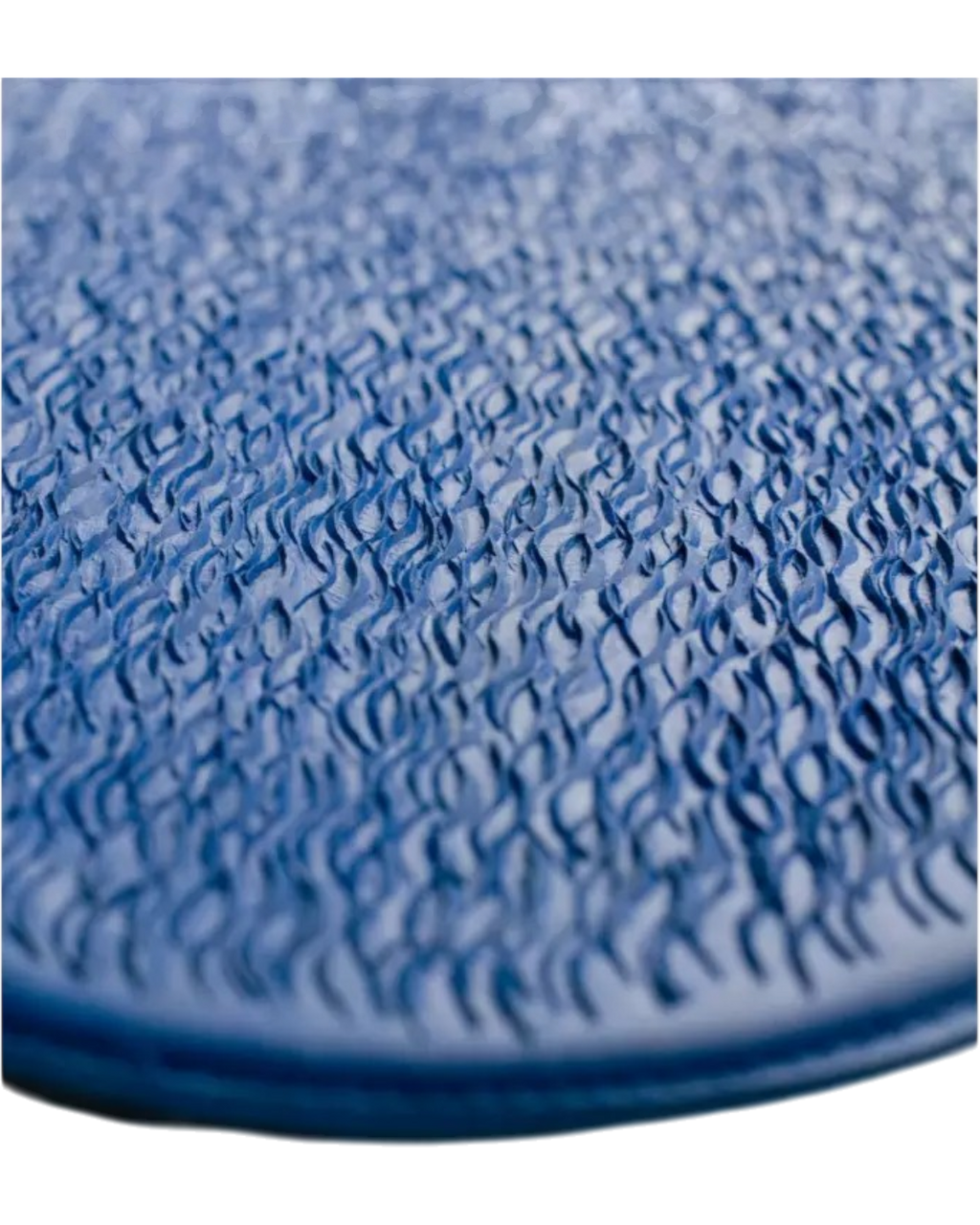 Insect Egg Massager and Scraper for Horses