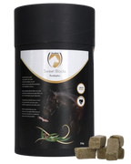 Excellent Horse Sweet Blocks Carrot treats for horses in various flavors